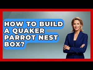 How To Build A Quaker Parrot Nest Box? - Bird Watching Diaries
