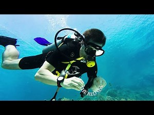 The Red Sea | Egypt 2025 | Scuba Diving