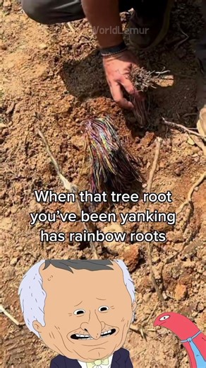 Rainbow Roots Freakout 🌈😬