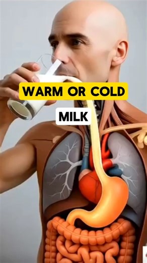 Warm Milk or Cold milk #facts #milk