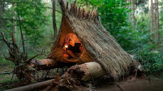 4.4M views · 53K reactions | Built a Cozy Hut on Top of Fallen Trees. Bushcraft Survival ======= Full Video Comment  | Brave Wilderness Life | Facebook