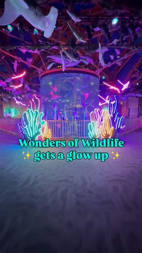 13K views · 4.3K reactions | The magic begins this weekend! ✨ Come explore Wonders of Wildlife like never before with our Sea of Lights Enchanted Christmas light experience – a glowing adventure starting Nov. 1 through the Jan. 4! This all-new, limited-time event is included in admission tickets and memberships! We can’t wait to SEA you soon! ✨ | Wonders of Wildlife | Facebook