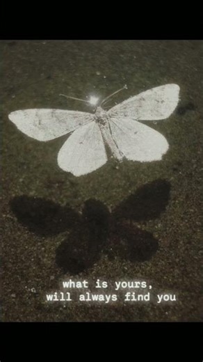 Arthur what is your#fyppppp