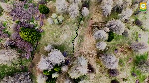 49 reactions |  Und der 1. Tiroler Biodiversitäts-Award geht an......