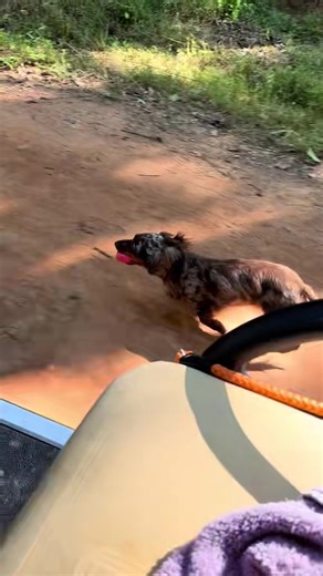 Strength looks different now — and that’s okay. I write a quiet Sunday Letter each week. 👉 Sign up in my bio