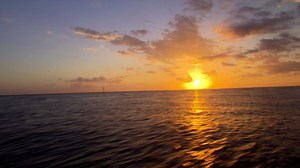 4.3K views · 35 reactions | Fishing the Jetty at Port O Connor, Texas Jeff Kriet Big Bite Baits Fishing Lures Garmin Fish & Hunt #TeamCabelas | Fisherman's Handbook | Facebook