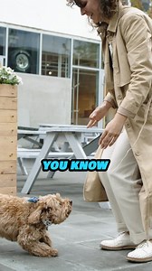 544K views · 10K reactions | How We DOMESTICATED Cats and Dogs 勞 w Neil deGrasse Tyson | Sound of Science | Facebook