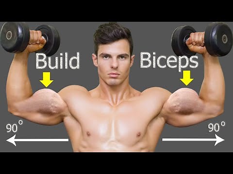 How to build biceps fast - best gym