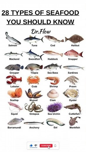 28 Types of Seafood You Should Know | Healthy Seafood Guide!