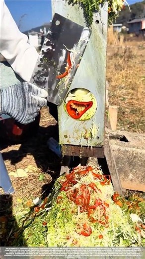 Home Vegetable Shredder#shorts