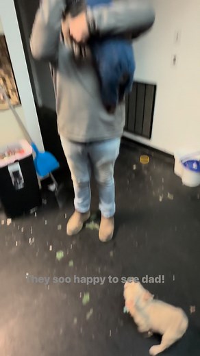 #frenchbulldog #dogmomma #frenchie #funnyreels #frenchiepuppy #doglife #frenchielove #dogmomlife | Jenny Watkins