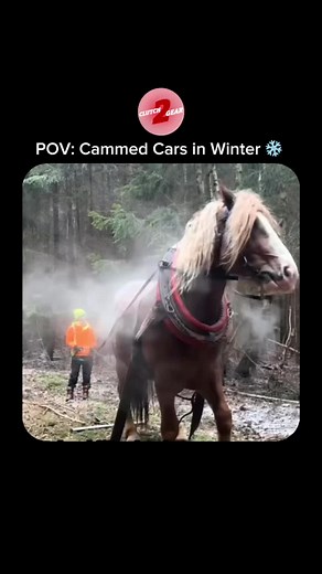 Exploring the Unique Sound of Cammed Cars