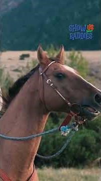 🚨Someone call HR on these filthy animals! 😼#Funny #Baddies #Hilarious