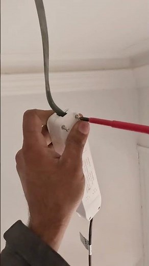 All Emergency Lights Failed Test — Full Replacement & Testing | SW7 | NICEIC Approved