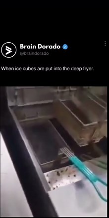 Brain Dorado on Instagram: "Putting ice cubes into the deep fryer causes a thermal shock due to the temperature difference, which leads to rapid vaporization of the ice. The steam produced from the ice creates pressure inside the ice cube, causing it to crack and release water droplets, which leads to an overflow. Follow @braindorado for more interesting content in your feed 🧠 . . . #trending #viralclips #interesting #interestingfacts #interestingmeme #interestingmemes #satisfying #oddlysatisfy