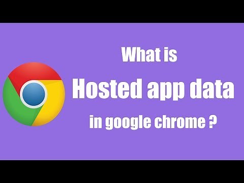 What is Hosted App data ?
