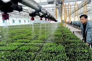 [Hot Item] Vertical Farming PVC Soilless Corrosion Resistance Hydroponic Facility Greenhouse