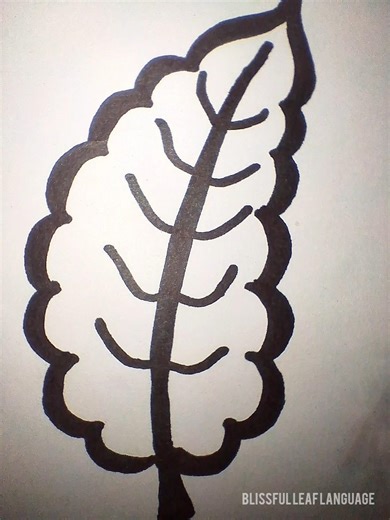 Beginner’s Guide: Simple Leaf Sketch