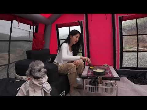 Forest Adventures with My Best Friend 🏕️🐶