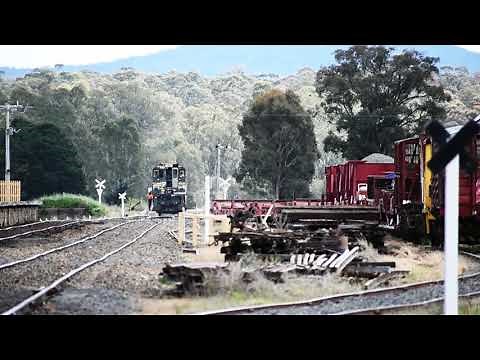 Y157 at Muckleford Victoria