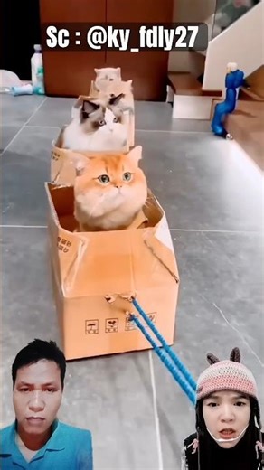 miau main kereta api ‪@Virola_chan‬