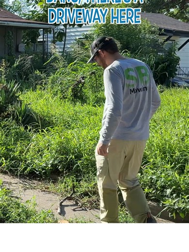 Transforming an Overgrown Yard with Effective Cleanup