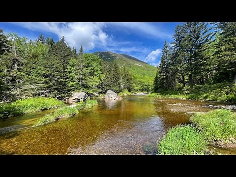Fly Fishing the Nesowadnehunk stream in Baxter state park!! (Part 1)