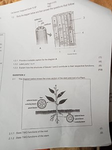 Life Sciences / Assignment Grade 10 QPthe questions that follo... | Filo