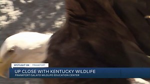 Up Close With Kentucky Wildlife