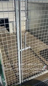 2.6K views · 119 reactions | RINUNCIA DI PROPRIETÀ ❗️ Chissà se...