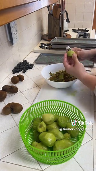 Harvest Right Kiwi Freeze Drying Process Explained