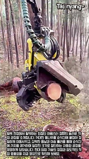 임업 혁신을 이끄는 자동화 벌목기 하베스터의 작동 원리 분석 #worker #process #heavyequipment #timber #lumberjack