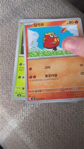 Day 2 of building my Pokemon collection from scratch!