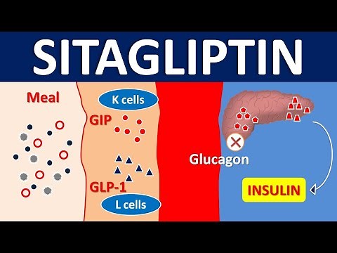 Sitagliptin for type 2 diabetes mellitus | DPP 4 inhibitor | Mechanism, precautions & side effects