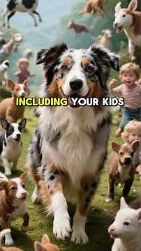 AUSTRALIAN SHEPARDS Explained AI ✨ Best at Barking, Shedding & Tricks? Top Training & Grooming Video