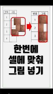 여러 그림을 한번에 셀에 맞춰 넣기