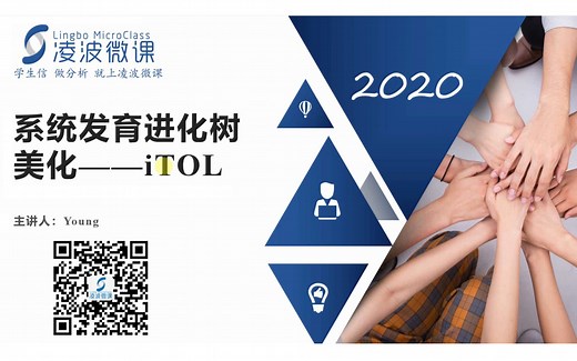 凌波微课-iTOL进化树美化