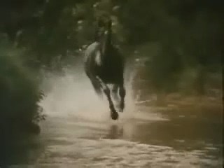 Trying not to sound like Alan Partridge, the Black Beauty theme tune is absolutely first class. | Legends of Kids TV