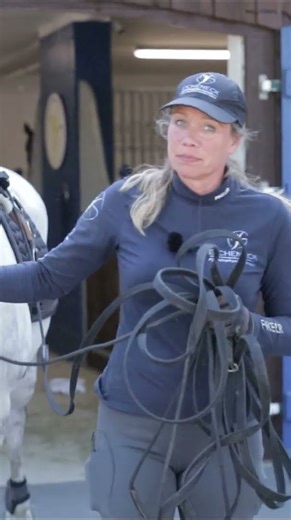 Letzter Tag für Narello 😨 Wird er wieder verkauft? #pferde