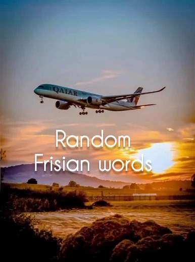 Leer Frysk: De Taal van Friesland Ontdekken