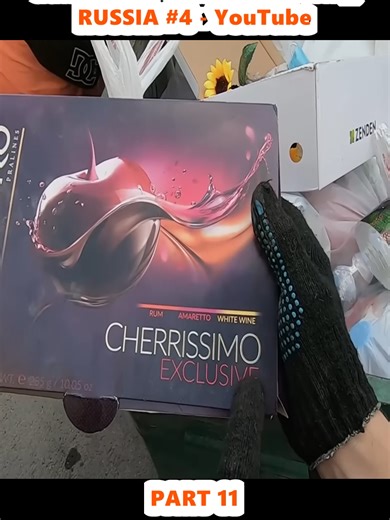 Dumpster Diving in St. Petersburg: A Unique Money-Making Guide