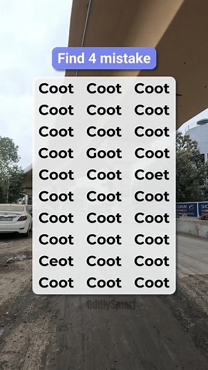 5.9K views · 197 reactions | Spot the 4 typos in Coot before they fly away! | Oddly Smart | Facebook