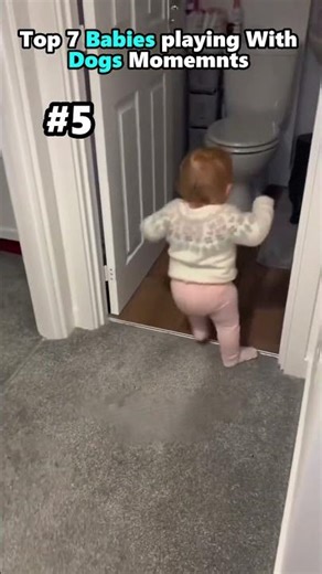 Ranking the Cutest Dog and Baby Moments #dogs #babies #funny