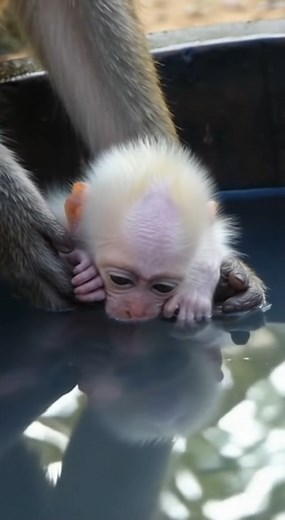 644K views · 3.2K reactions | Sleepy Tiny Baby Got Bathing | Rsa Times | Facebook