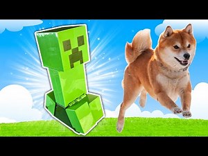 EXPLODING CREEPER!!! (doge dies)