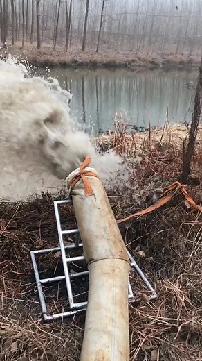 sarah song395 on TikTok