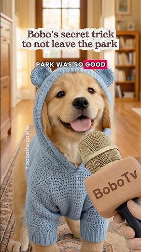 Bobo’s secret trick to NOT leave the park 😂🦮 #doginterview #goldenretreiver #cocodoodle