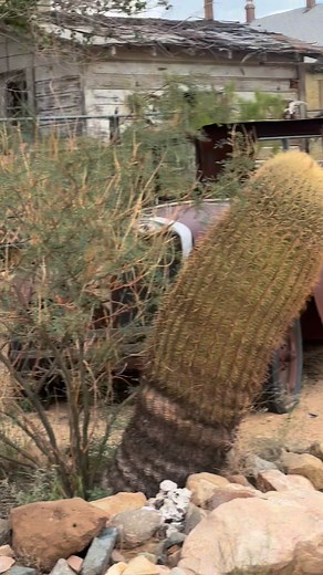 71 reactions · 5 comments | Route 66 exploring. #TheRedneckRumble #seetheusa #route66 | Tommy Williams | Facebook