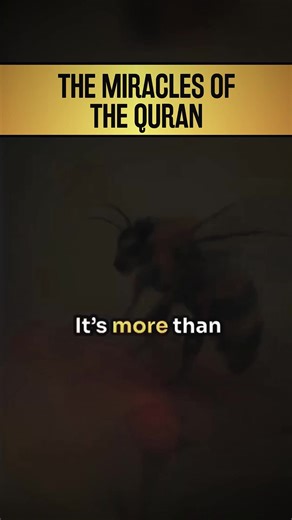 The Miracles Of The Quran We can render the atheist-materialist philosophy ineffective by talking about the miracles of the Qur’an, the invalidity of Darwinism and the facts of Creation. | Ebru Fişek