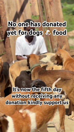 Please 🙏 kindly donate via the PayPal link in our channel’s bio